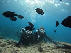 �}�����T�[�r�X�ނ�ʁ[���̎ʐ^1