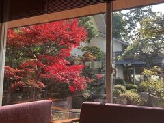 �ʑ�����@���T���̎ʐ^1