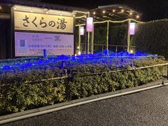 ��F�@���䋽����@������̓��̎ʐ^1