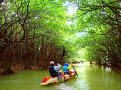 �ꕶ�g���C�u�X�̎ʐ^1