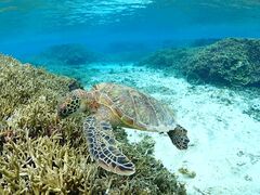 Nami�{�Ó��̎ʐ^1