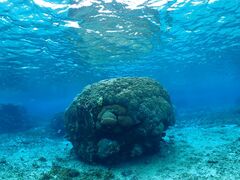 Nami�{�Ó��̎ʐ^2