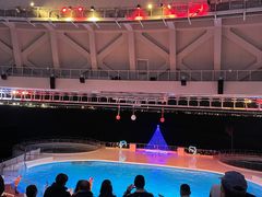 �}�������[���h�C�̒����̎ʐ^1