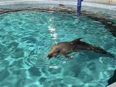 �}�������[���h�C�̒����̎ʐ^4