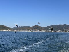 �O�͘p���]�[�g�����N�X�̎ʐ^4