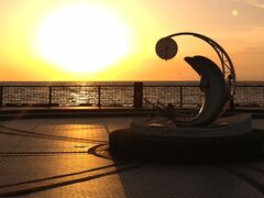 �G�M���K�[�P�Q������̃m�V���b�v���ւ̓��e�ʐ^1