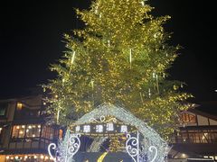 �Ƃ�����̑��Ó����ւ̓��e�ʐ^1