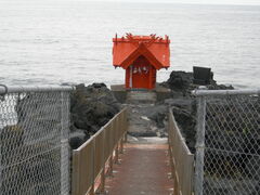 �G�M���K�[�P�Q������̖k�̂������ܕٓV�{�̓��e�ʐ^1