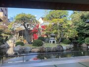 �ӂ݂���񂳂�̋ʑ�����@���T���̓��e�ʐ^3