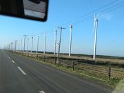 �G�M���K�[�P�Q������̃I�g�����C���͔��d���̓��e�ʐ^1