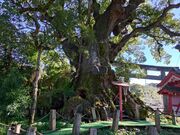 �݂�тЂ߂���̎u�z�u�̑�N�X�̓��e�ʐ^1