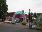 �G�M���K�[�P�Q������̂Ƃ����ނ�̓��e�ʐ^1