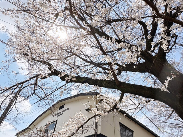 �O��_���|�����@�c�t�J���[