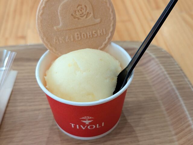 �G�ߌ���̏Ó�S�[���h�̃V���[�x�b�g_���ڂ蓒�͌��X�C�[�c�t�@�N�g���[