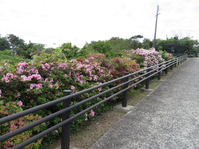 �c�c�W_�Ճm�������W�]��