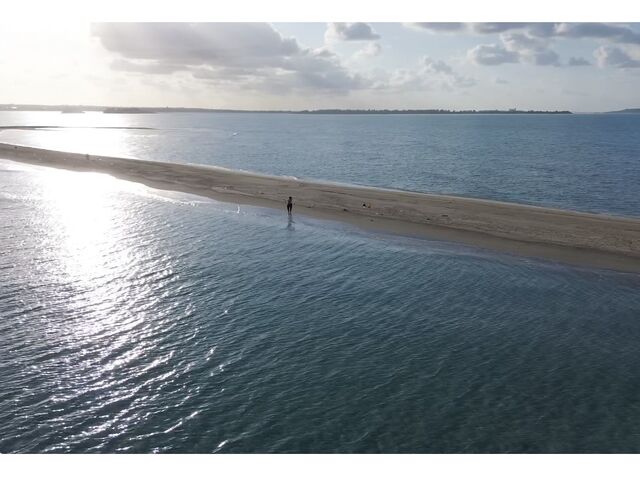 ���j�̕l_�}�����K�C�h�C��(����Ԃ�)