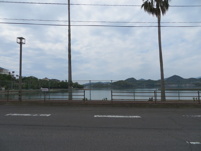 �Ԃ���񂳂�̑�莩�R�����̓��e�ʐ^2