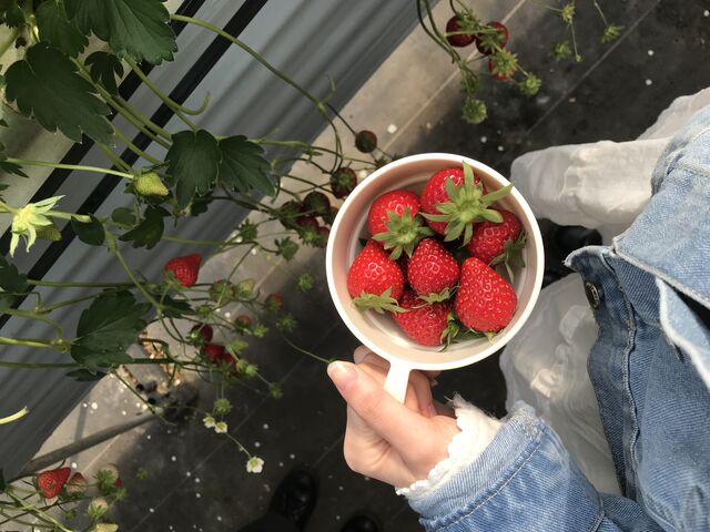 �J�b�v�����������ł��I_���ӂ��C�`�S��