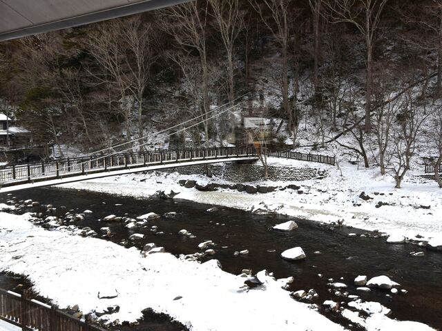 ���ʂ�����̃J�t�F���X�g�����E�m���̓��e�ʐ^2