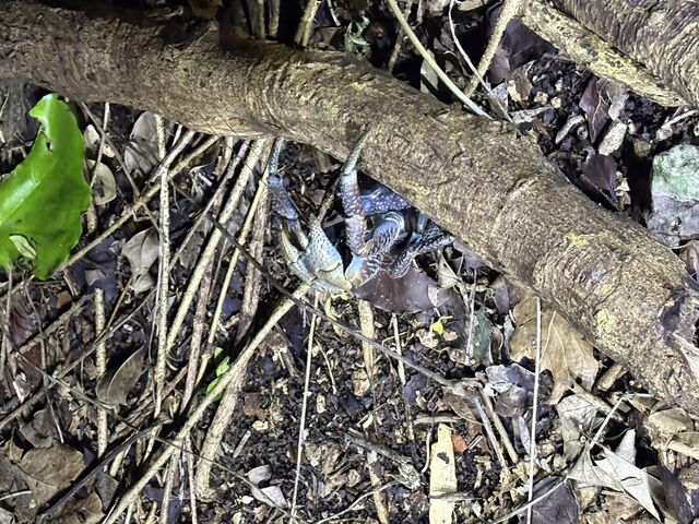 ���C���̐������ɉ�Ė����I_���C��