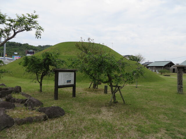 �Ԃ���񂳂�̂Ђ����ˌÕ��̓��e�ʐ^1