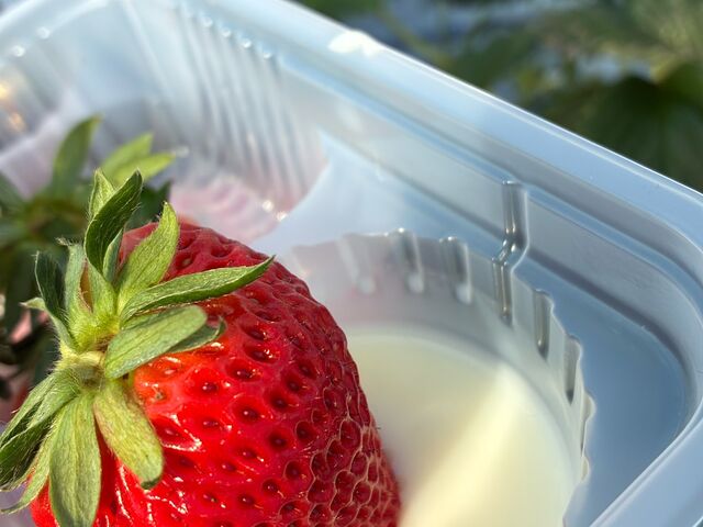 �����ƃC�`�S�͍ŋ��I_���΂���t�@�[��