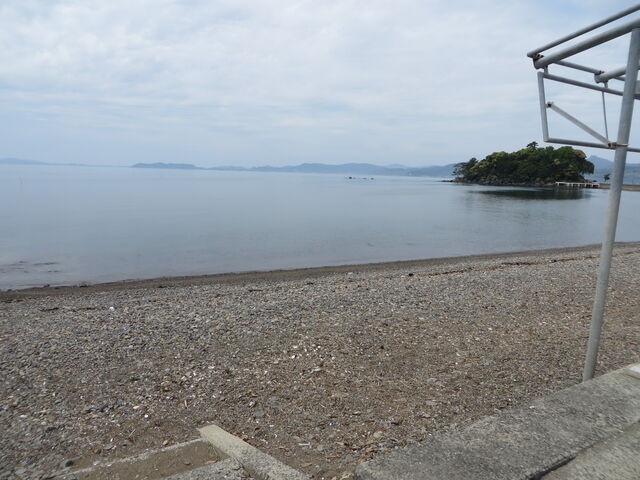 �Ԃ���񂳂�̏����C������̓��e�ʐ^2