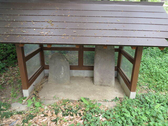 �Ԃ���񂳂�̃L���V�^�����̓��e�ʐ^2