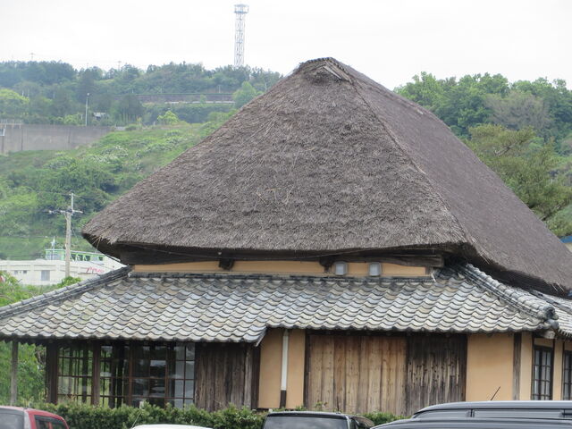 �Ö���_���j�����ދn�̑�