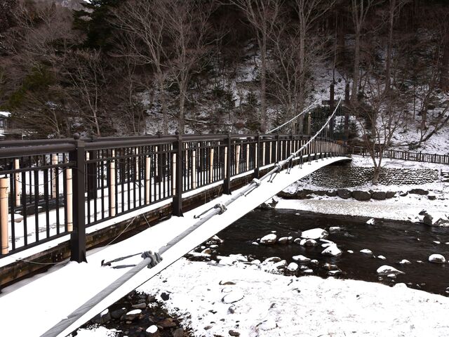 ��ӂɍ~������̂������ŁA���͋C���ō��ł����B�E�E�E���������ł�����_�g�̒݋�