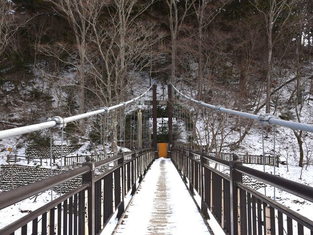 ���ʂ�����̍g�̒݋��̓��e�ʐ^2