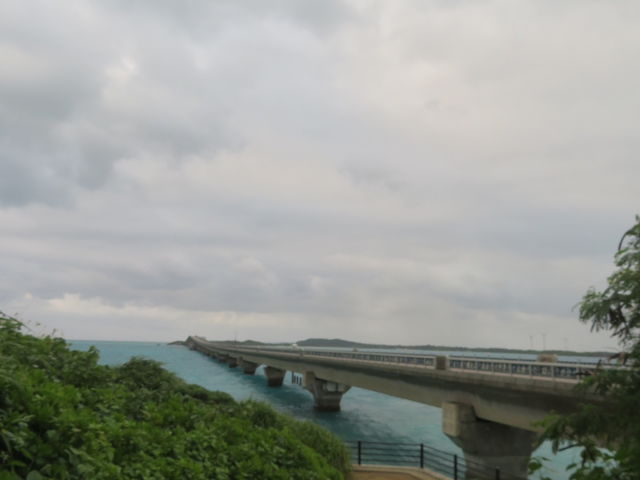 �{�Ó�������̒r�ԓ�_�r�ԓ�