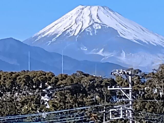 �z�[�����猩���x�m�R_�O���w