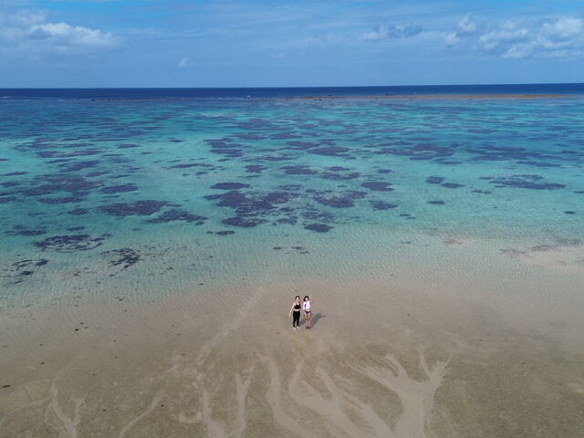 �C���Ƃ��Ă����ꂢ_South Blue