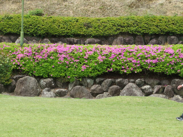 �c�c�W_�̂��݌���