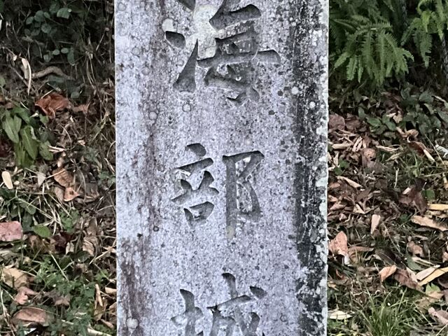 Shota����̊C����Ղ̓��e�ʐ^1