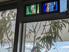 Lino la craft�̎ʐ^3