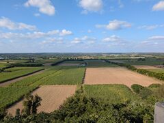 �X�s���R����̓��̊ۓW�]��ւ̓��e�ʐ^1