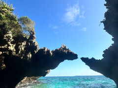 �}�����W�F�b�g�K�C�h �C���̎ʐ^2