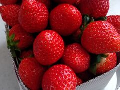 ���d�E�C���O�t�@�[���̎ʐ^2