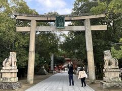 Shota����̑�R�_�_�Ђւ̓��e�ʐ^1