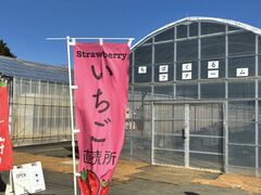 ���΂���t�@�[���̎ʐ^2