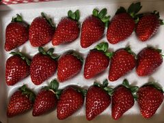 �ꂨ�ς���̑��t䕉��ւ̓��e�ʐ^2