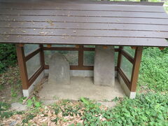 �Ԃ���񂳂�̃L���V�^�����ւ̓��e�ʐ^1