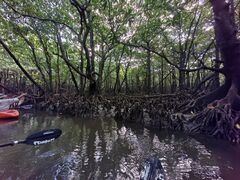 marinemate Luana�̎ʐ^1