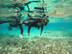 ����V���m�[�P�����O�V���b�v|�{�j�[�u���[�yBonnie Blue�z�̎ʐ^1