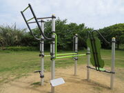 �Ԃ���񂳂�̒��������̓��e�ʐ^2