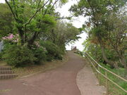 �Ԃ���񂳂�̋Ճm�������W�]��̓��e�ʐ^3