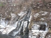 ���ʂ�����̎����̑�̓��e�ʐ^1