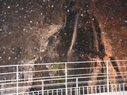 ���ʂ�����̎����̑�̓��e�ʐ^3